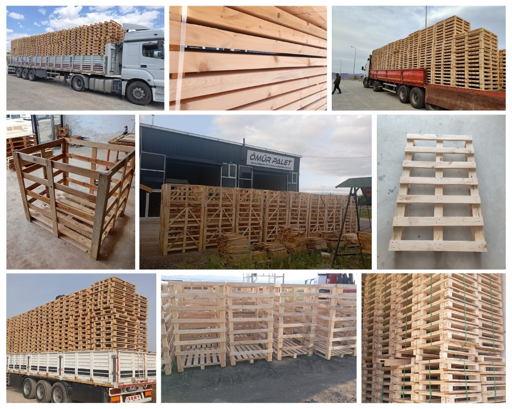 Tedburn Saint Mary Wooden Pallets, Buy Wooden Pallets Wholesale